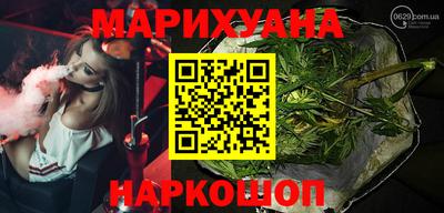 шишки Новодвинск