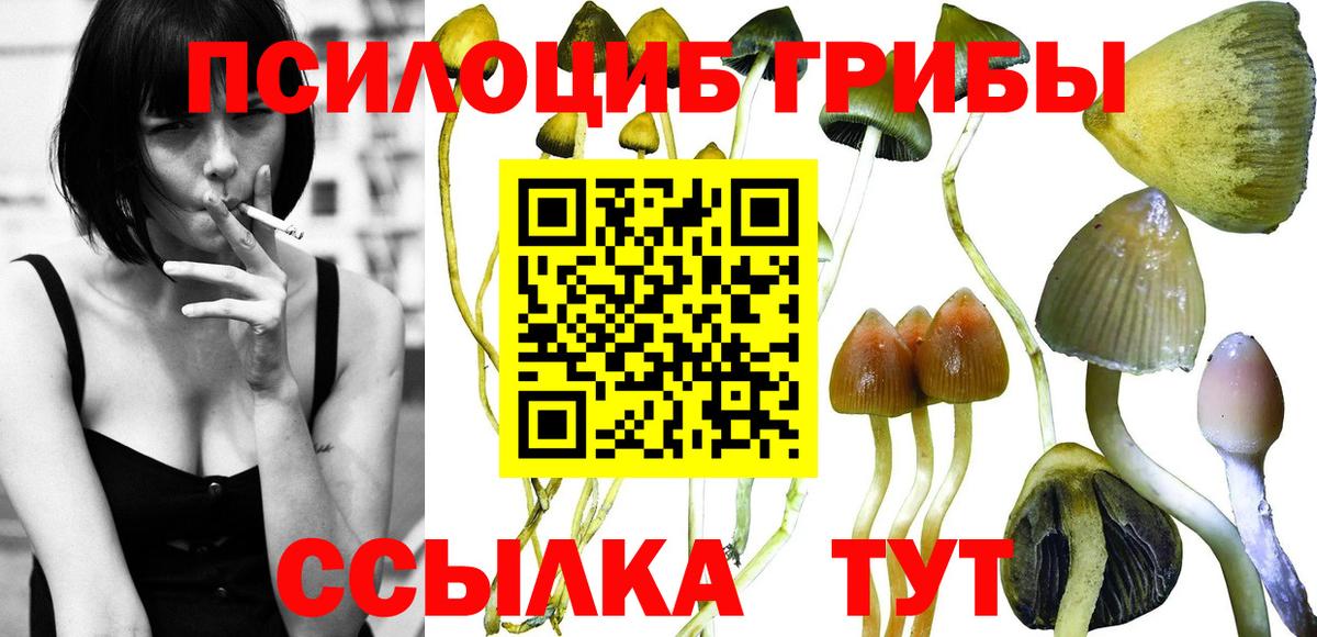 Галлюциногенные грибы Cubensis Тольятти